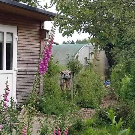 Fairschlafen - Gartenwohnung Bücken Exterior foto