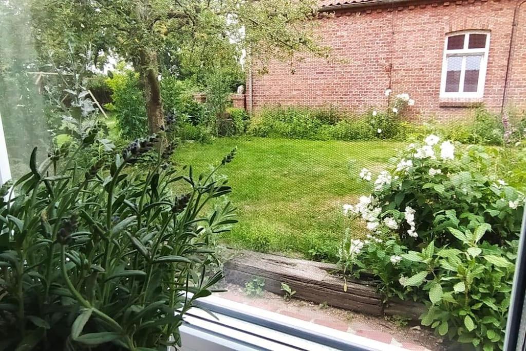Fairschlafen - Gartenwohnung Bücken Exterior foto